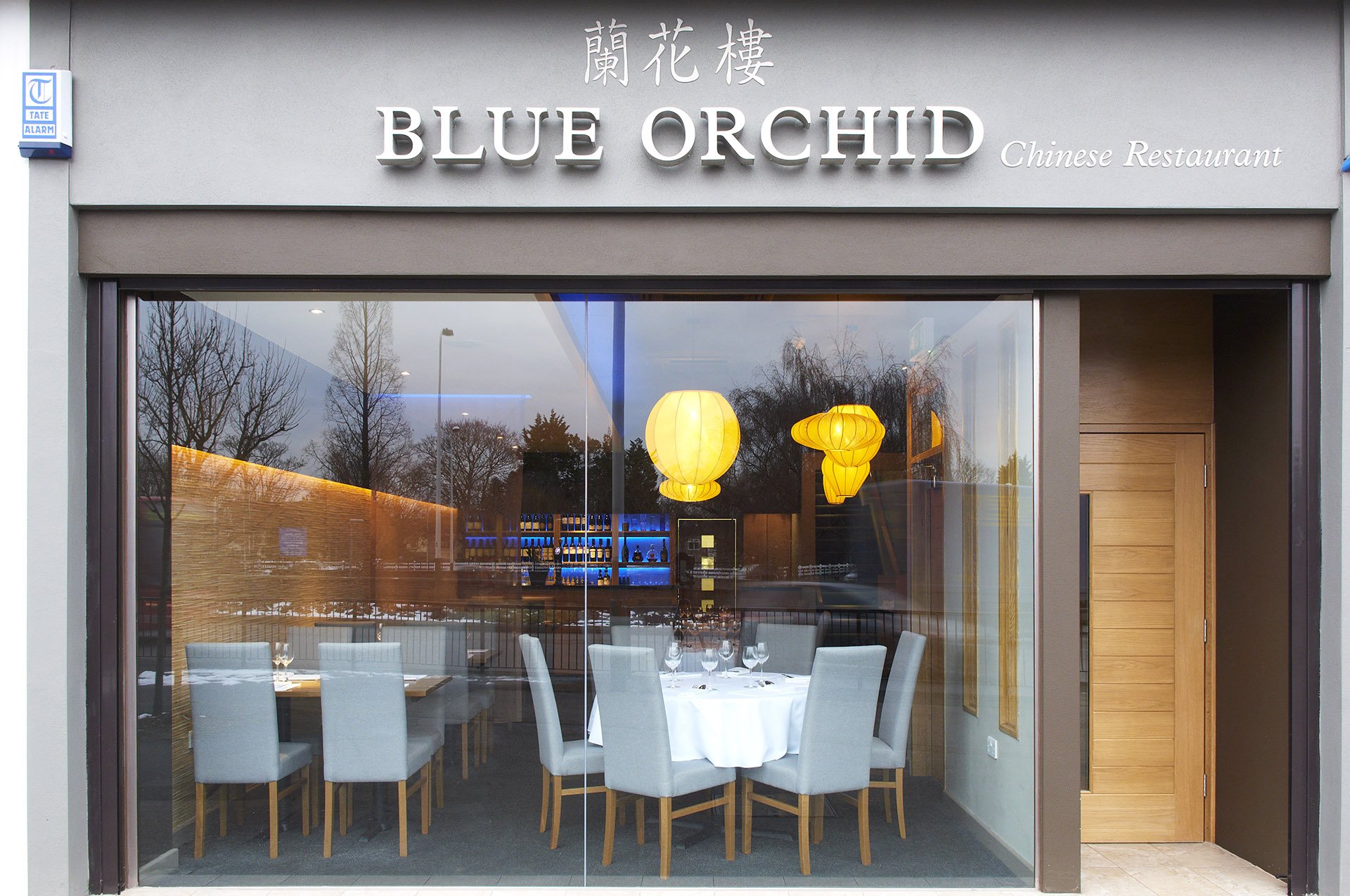 Blue Orchid Brand Identity Q&A Interior Design Cheltenham