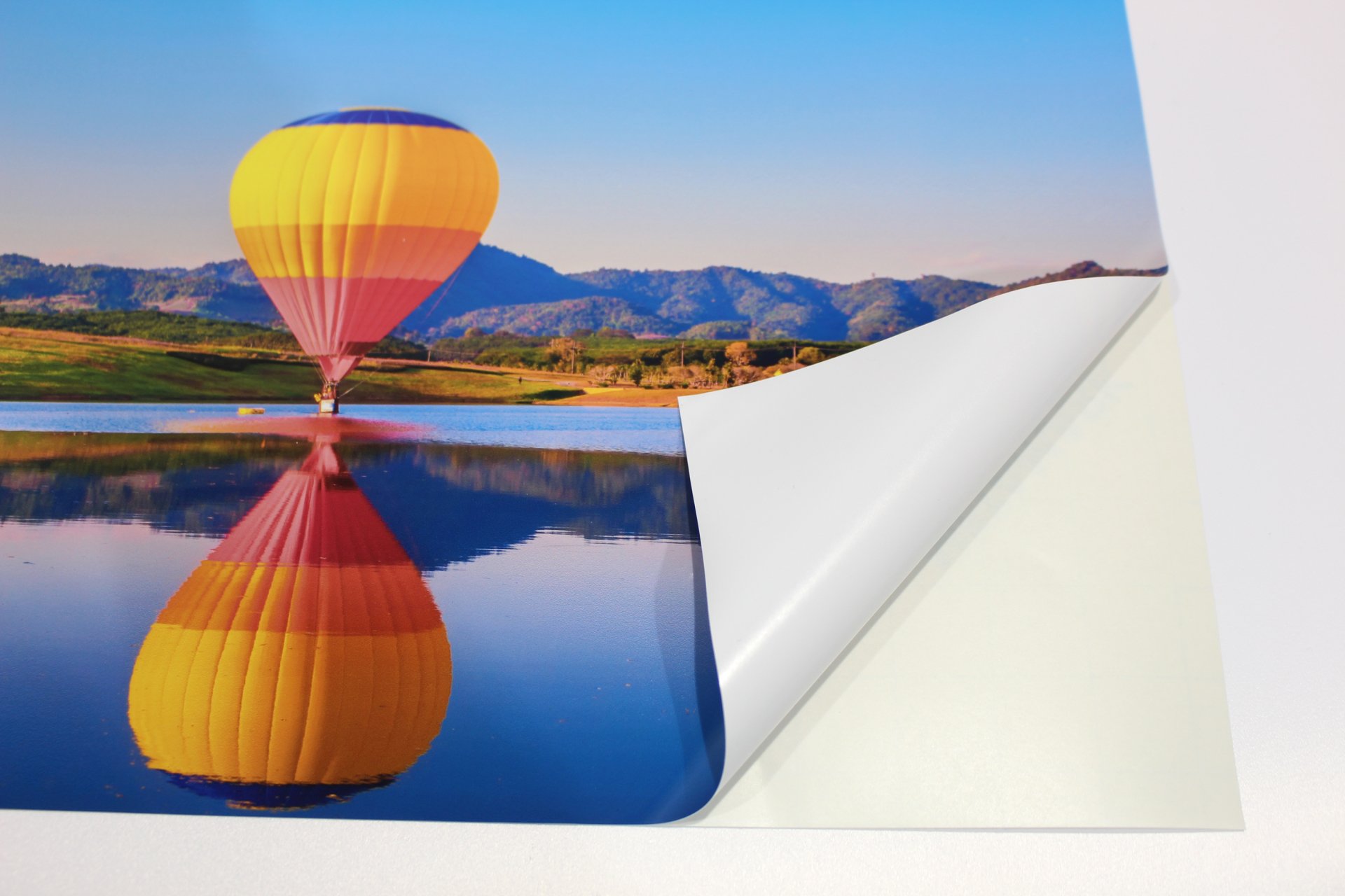 Custom Posters & Banners for Businesses Labelwell