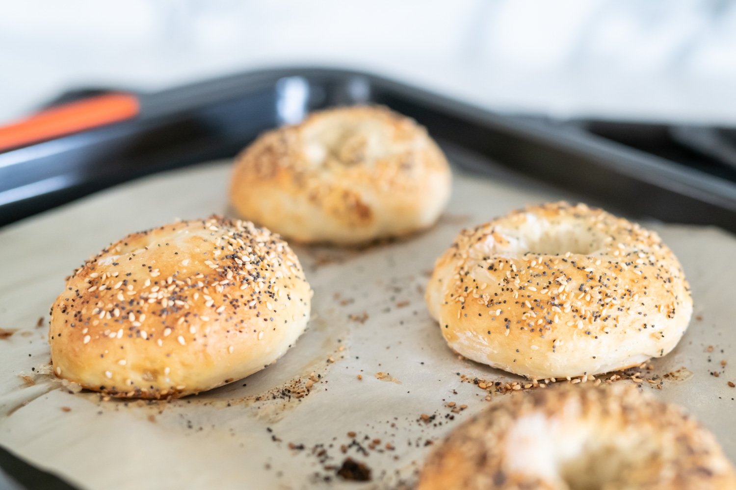 Easy Everything Bagels (Made with Greek Yogurt!)