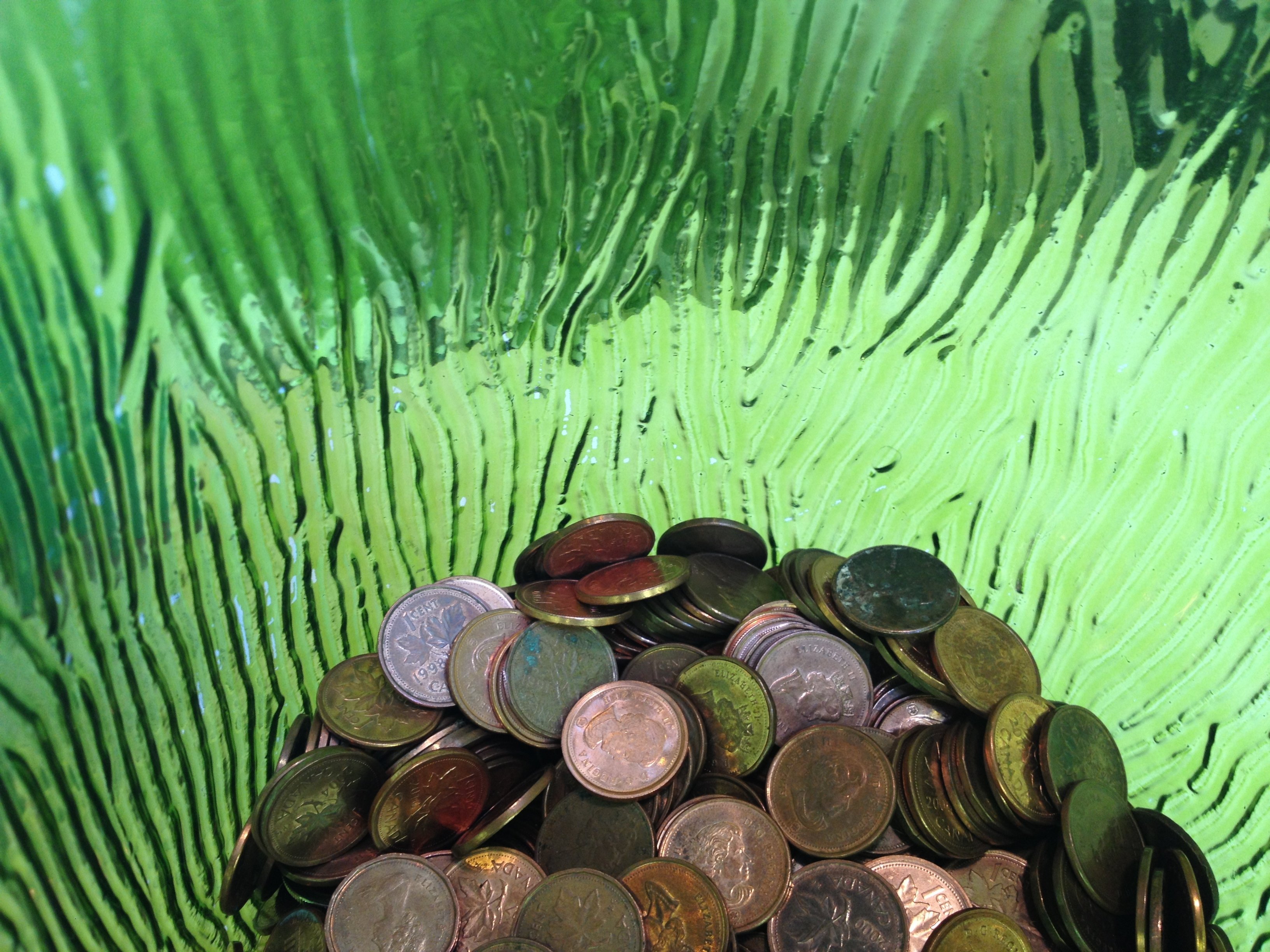 Green Circle Salon’s “Recycle a Penny Plant a Tree” Campaign