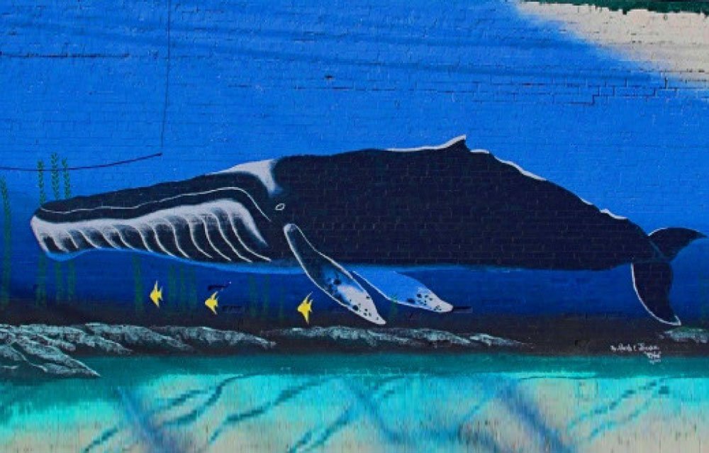 Whale Myths and Legends