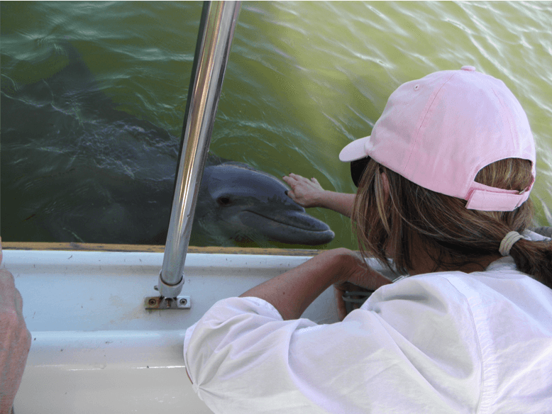 Hilton Head Island Dolphin Tours Photo Gallery Sonny C Charters