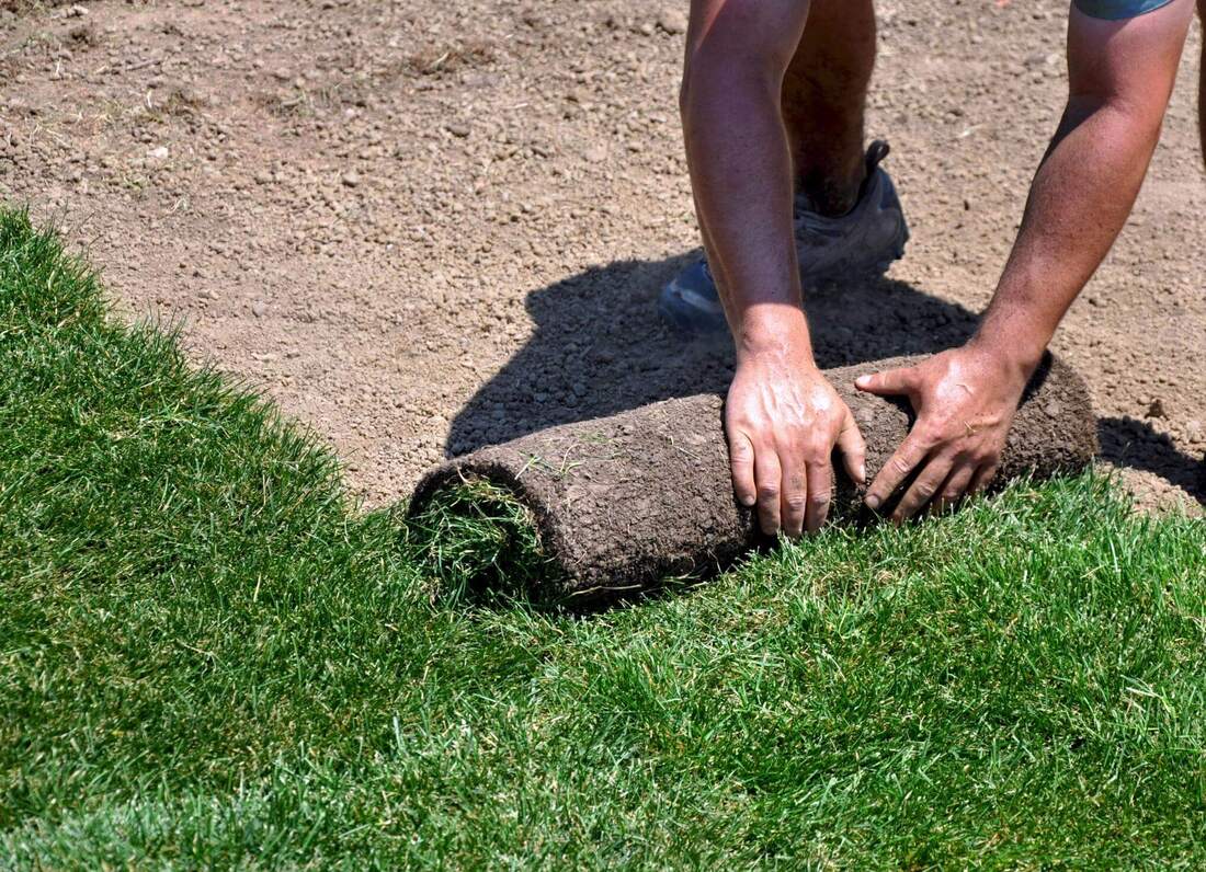 Landscaping & Landscape Design Services in Orange County, CA