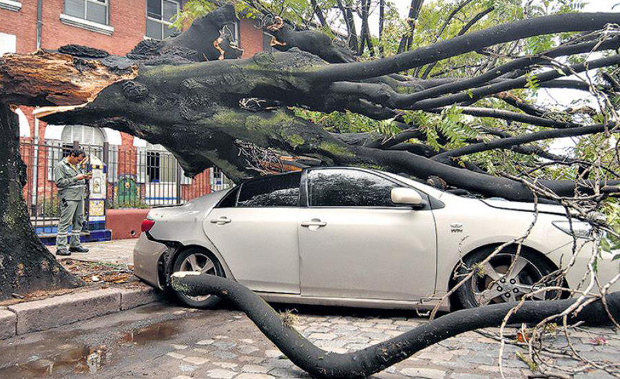 hyundai metepec supervivencia extrema al volante