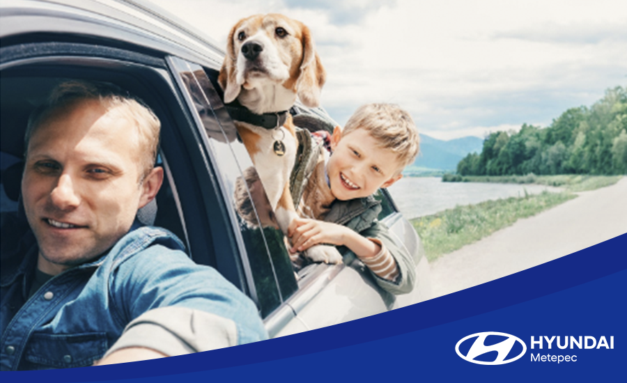 el auto perfecto para cada tipo de papa hyundai metepec