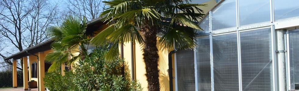 Pensione Per Cani Sesto San Giovanni