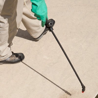 The Jetclean Difference: Professional mould removal agent applied as part of our driveway cleaning, paver cleaning and concrete cleaning assignments.