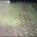 Slippery Path Pavers | Getting a good pressure clean service