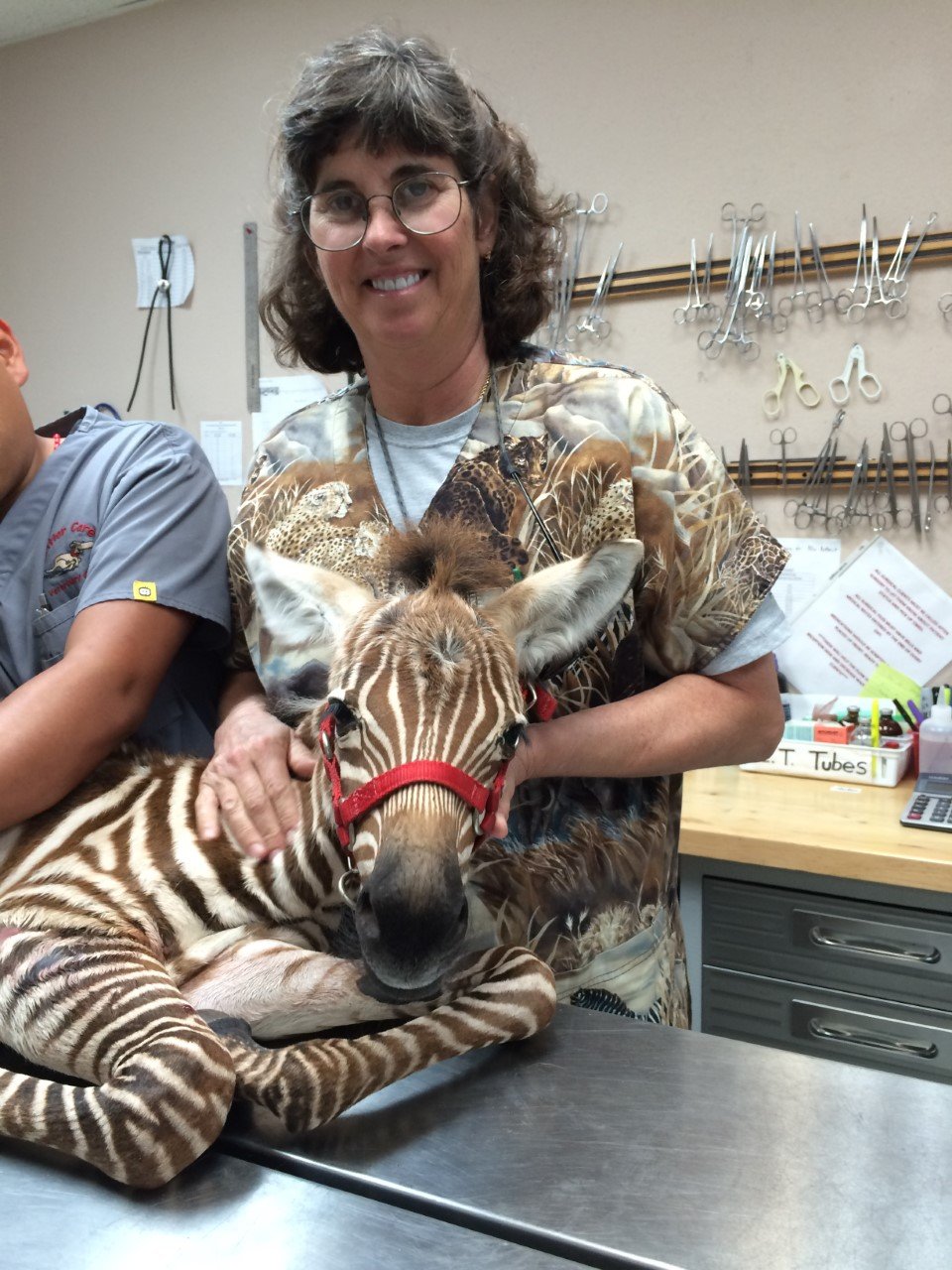 Our Team Critter Care Veterinary Clinic Laredo, TX