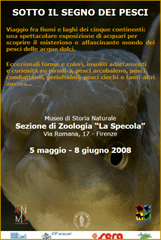 Acquario pianeta blu scandicci (fi) Pesci e acquario a letto