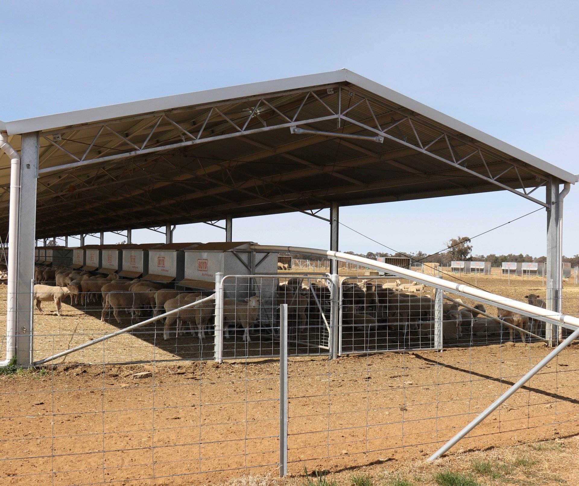 Dairy Sheds State Wide Sheds, Dubbo NSW Australia
