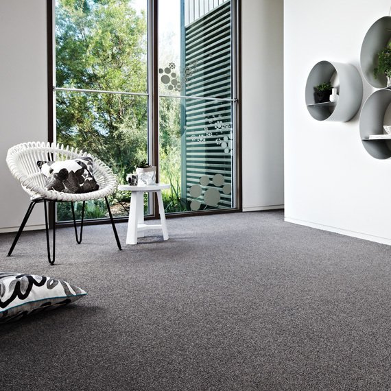 Carpet Giants Carpet Stores Adelaide Best Price on Carpet Adelaide