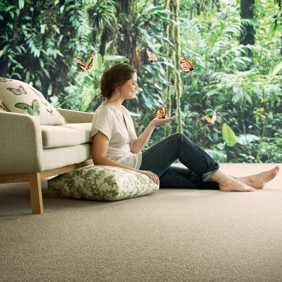 Carpet Giants Carpet Stores Adelaide Best Price on Carpet Adelaide