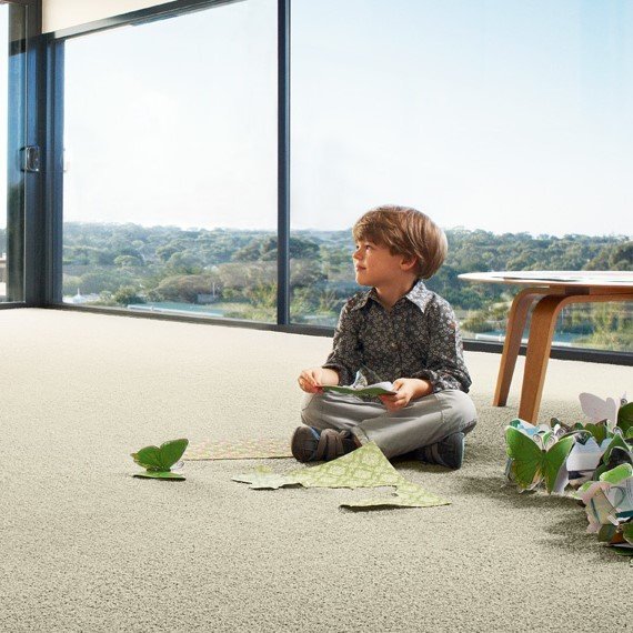 Carpet Giants Carpet Stores Adelaide Best Price on Carpet Adelaide