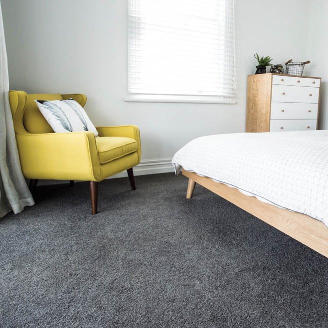 Carpet Giants Carpet Stores Adelaide Best Price on Carpet Adelaide