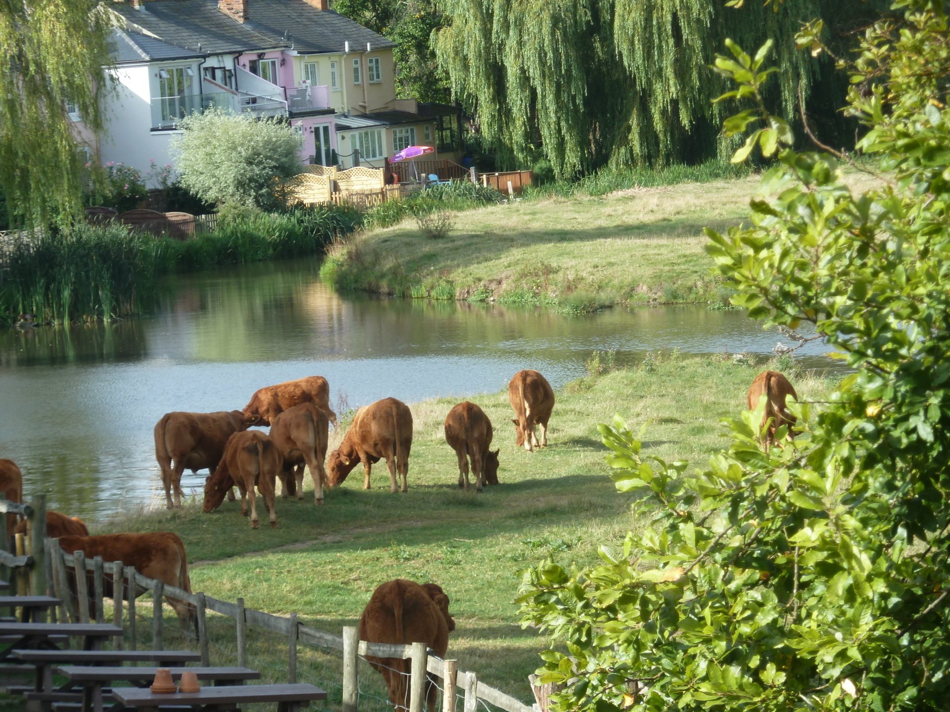 Suffolk tour