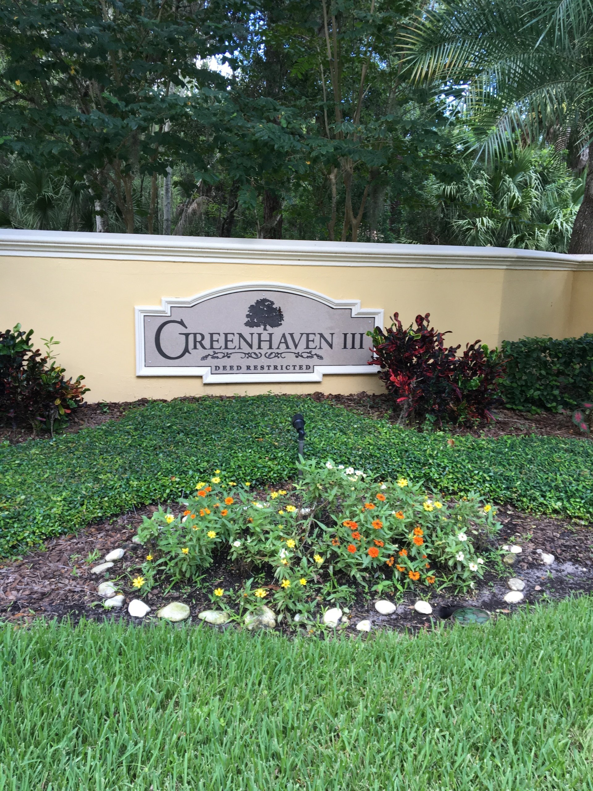 Gallery East Lake Woodlands