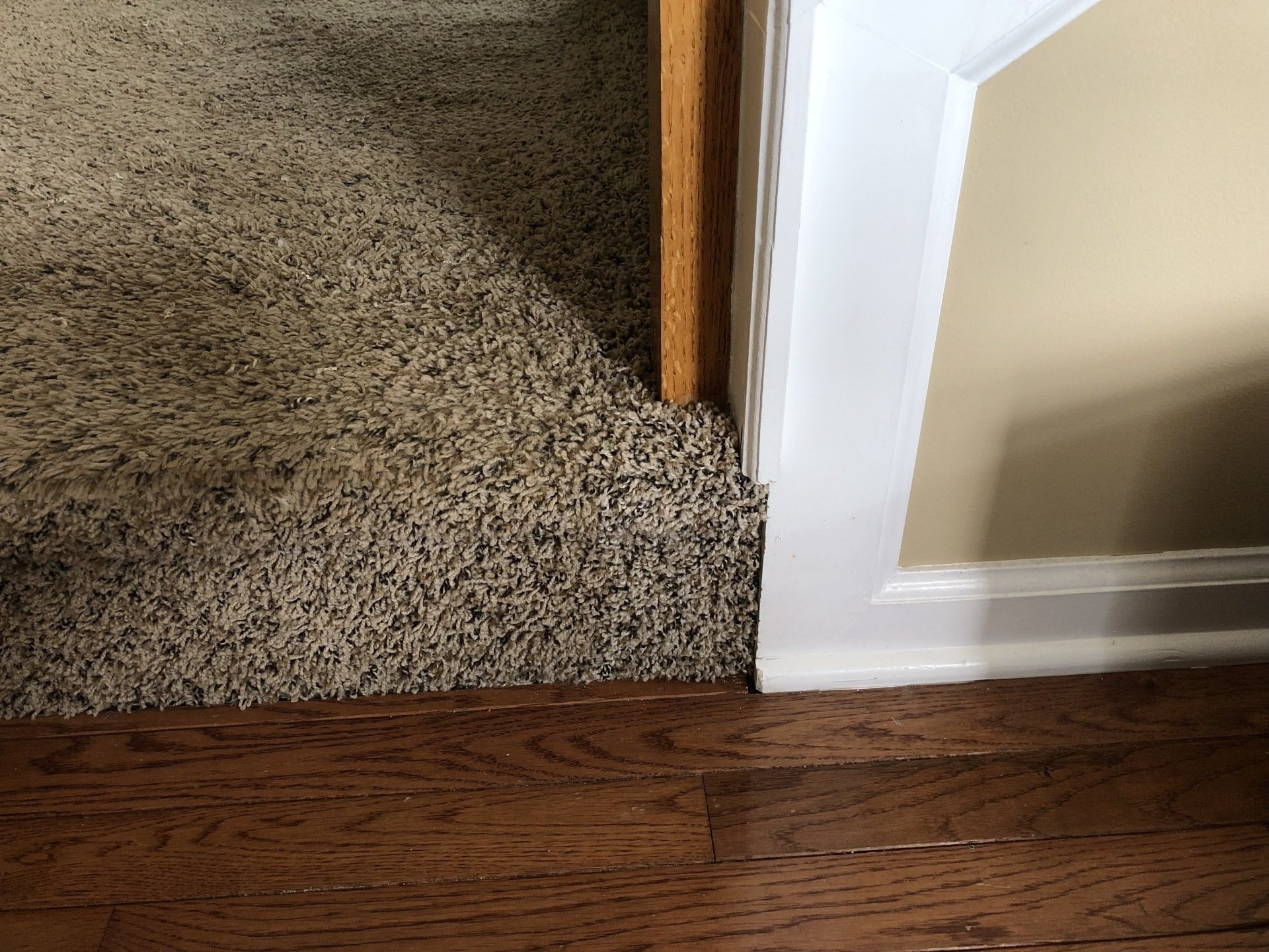Fletcher's Carpet Cleaning and Stretching of Knoxville, TN & Carpet