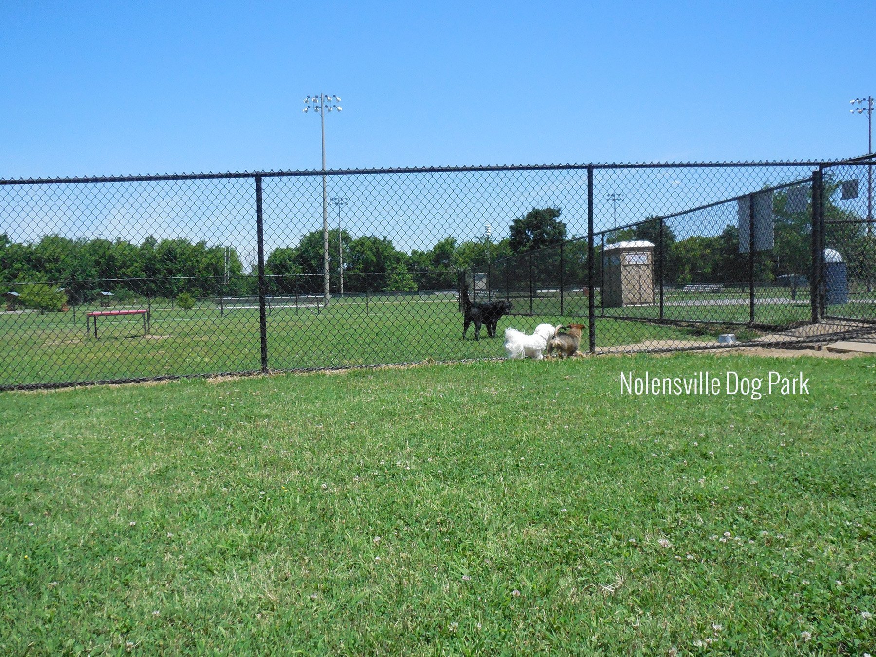Dog Park Brentwood Tennessee Dog Park Brentwood Tennessee