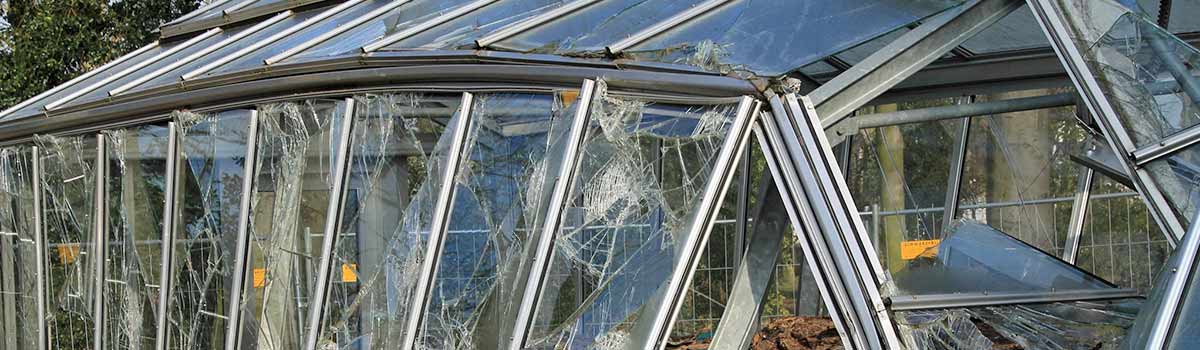 Damaged greenhouse