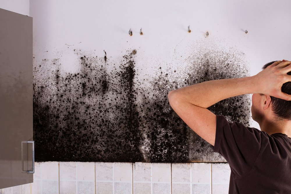 Is Black Mold Dangerous For Your Health