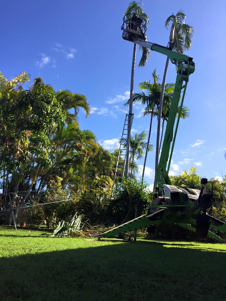 Coral Coast Tree Trimming Project