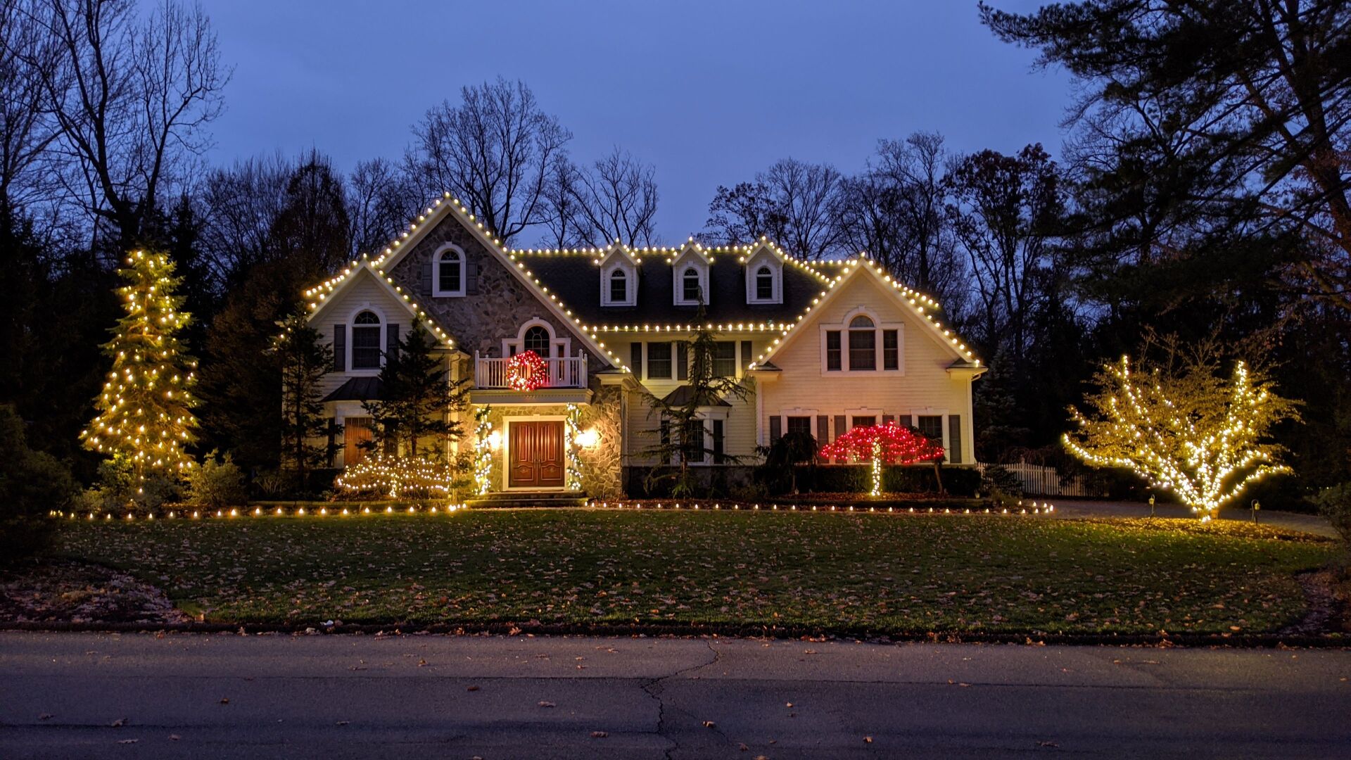 Christmas light installation franchise picture