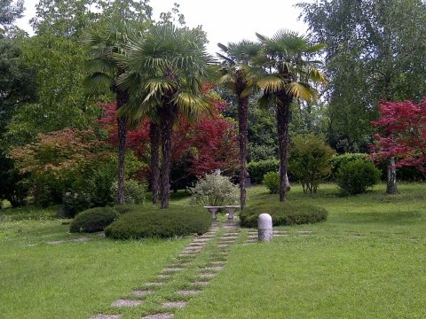 Manutenzione giardini saronno, milano, varese, como, torino ... Imprese giardinaggio milano