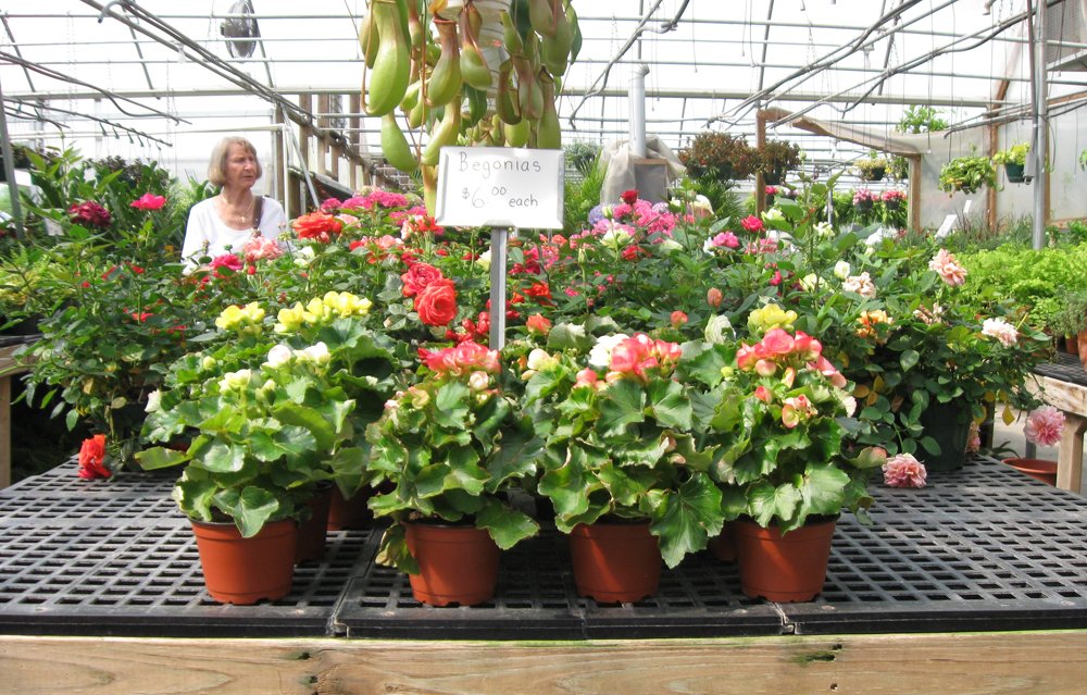 Gallery Myers Greenhouse WinstonSalem, NC & Clemmons, NC