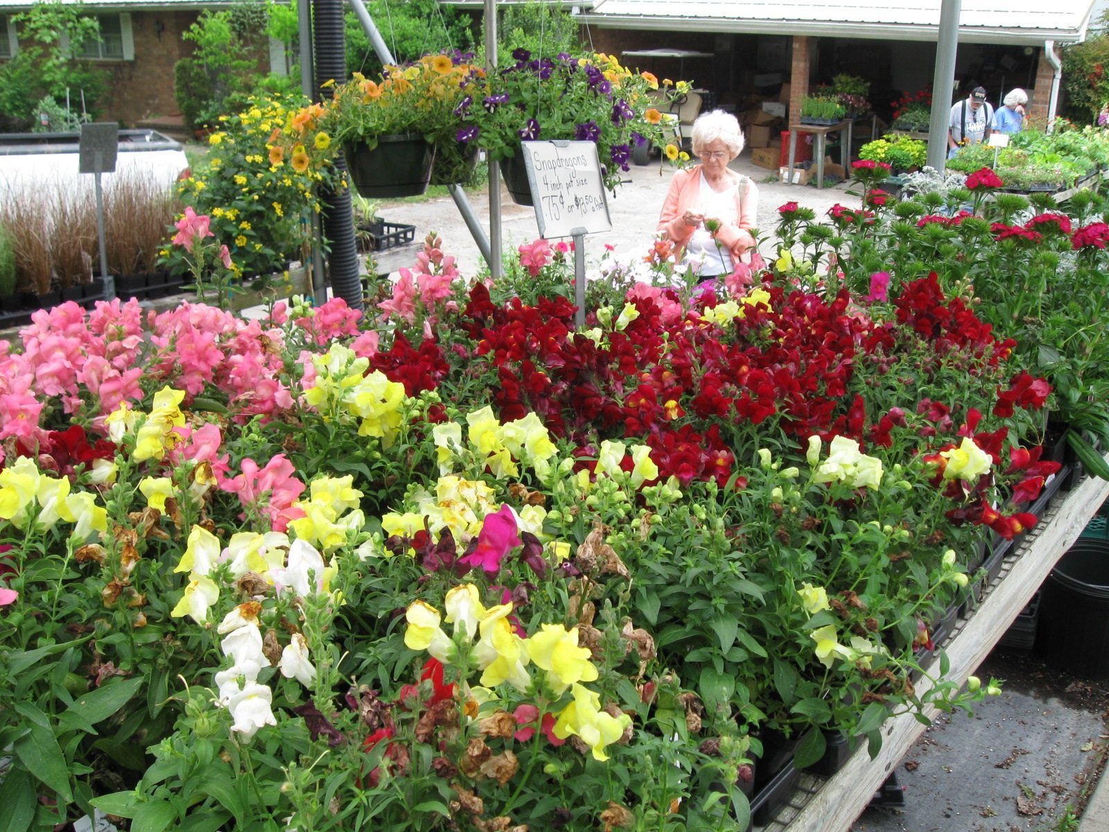 Local Greenhouse WinstonSalem, NC Myers Greenhouse Clemmons, NC