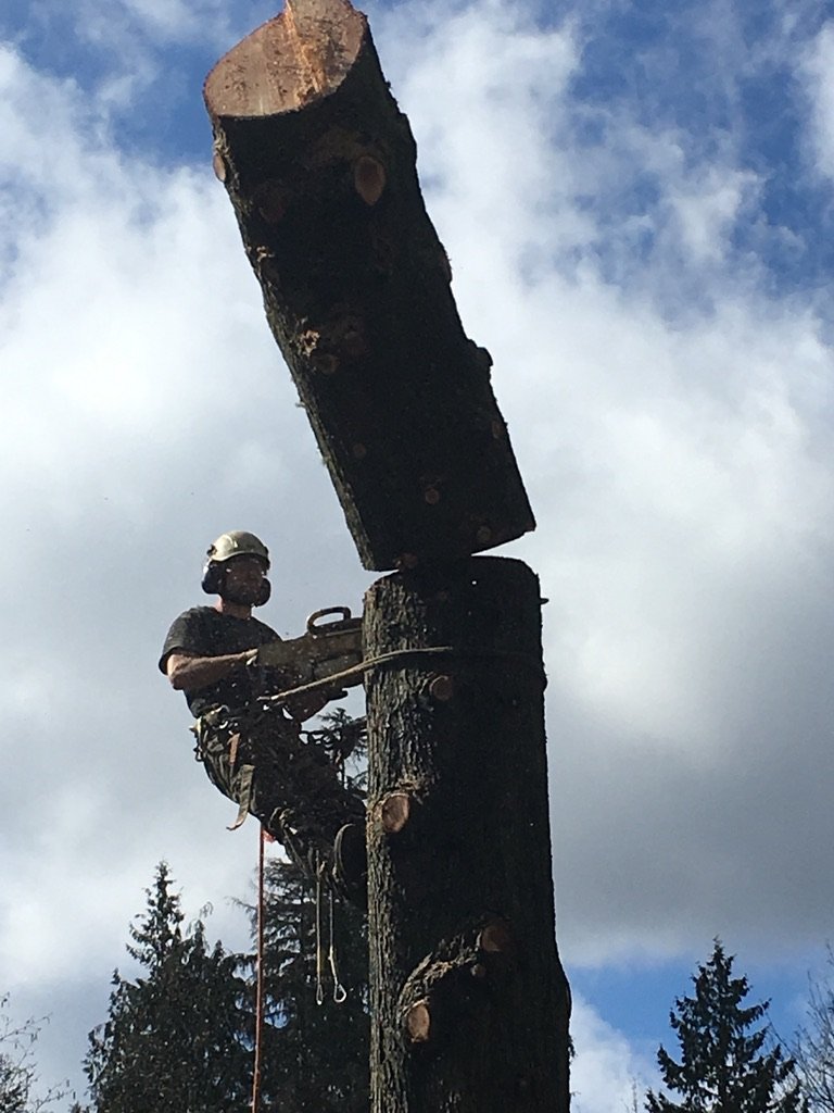 Henry Tree Service Photo Gallery of activities on Whidbey Island, WA