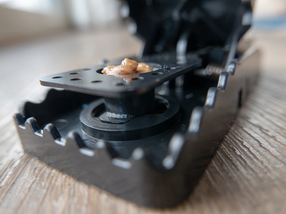 Fortress Roofing Jacksonville, FL Fortress Roofing and Construction LLC