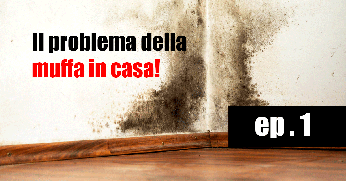 Il problema della muffa in casa! ep.1 Muffa e umidita cosa fare