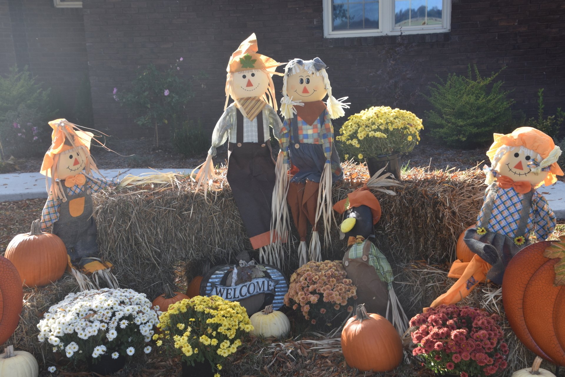 Boards East Prairie, MO