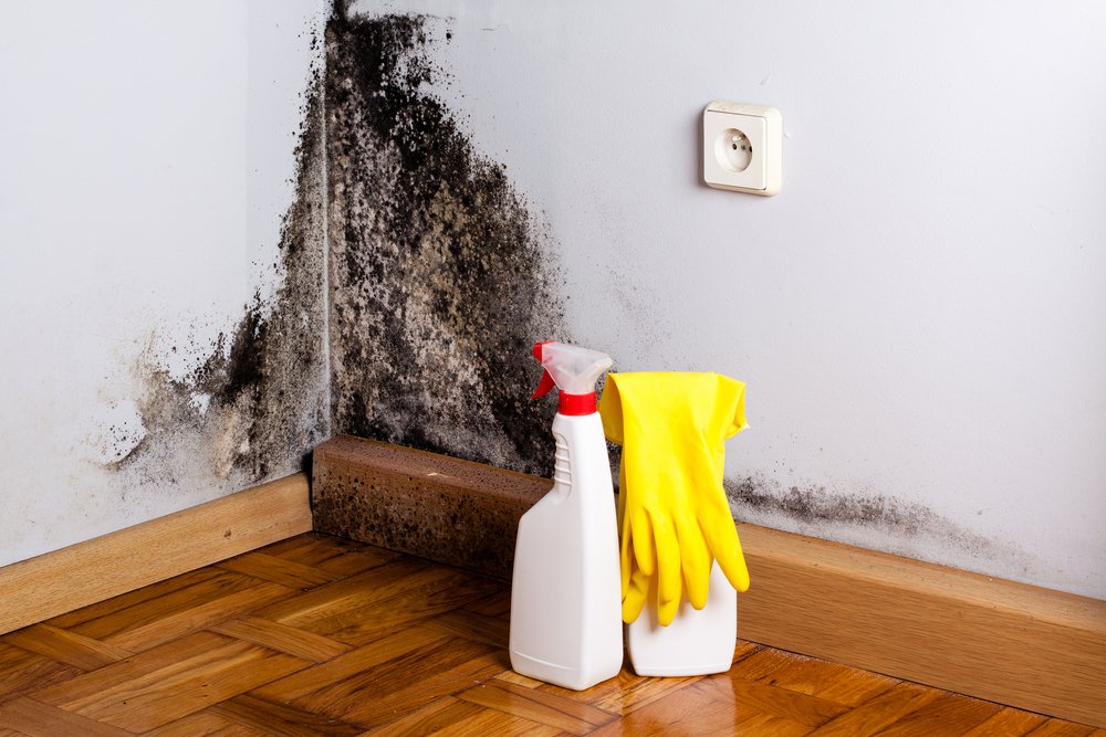 How To Safely Remove Mold