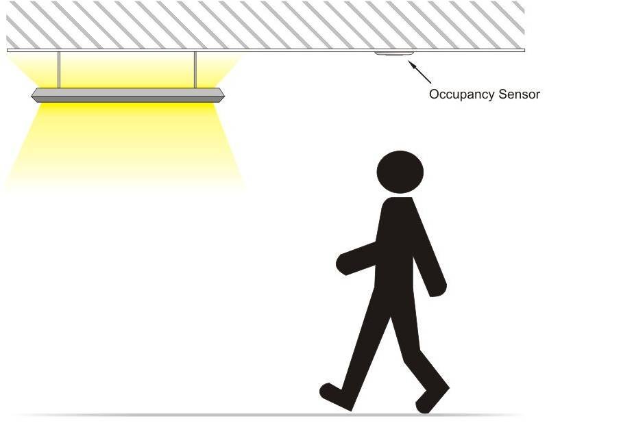 FAQ: Occupancy - difference between presence/absence detection?