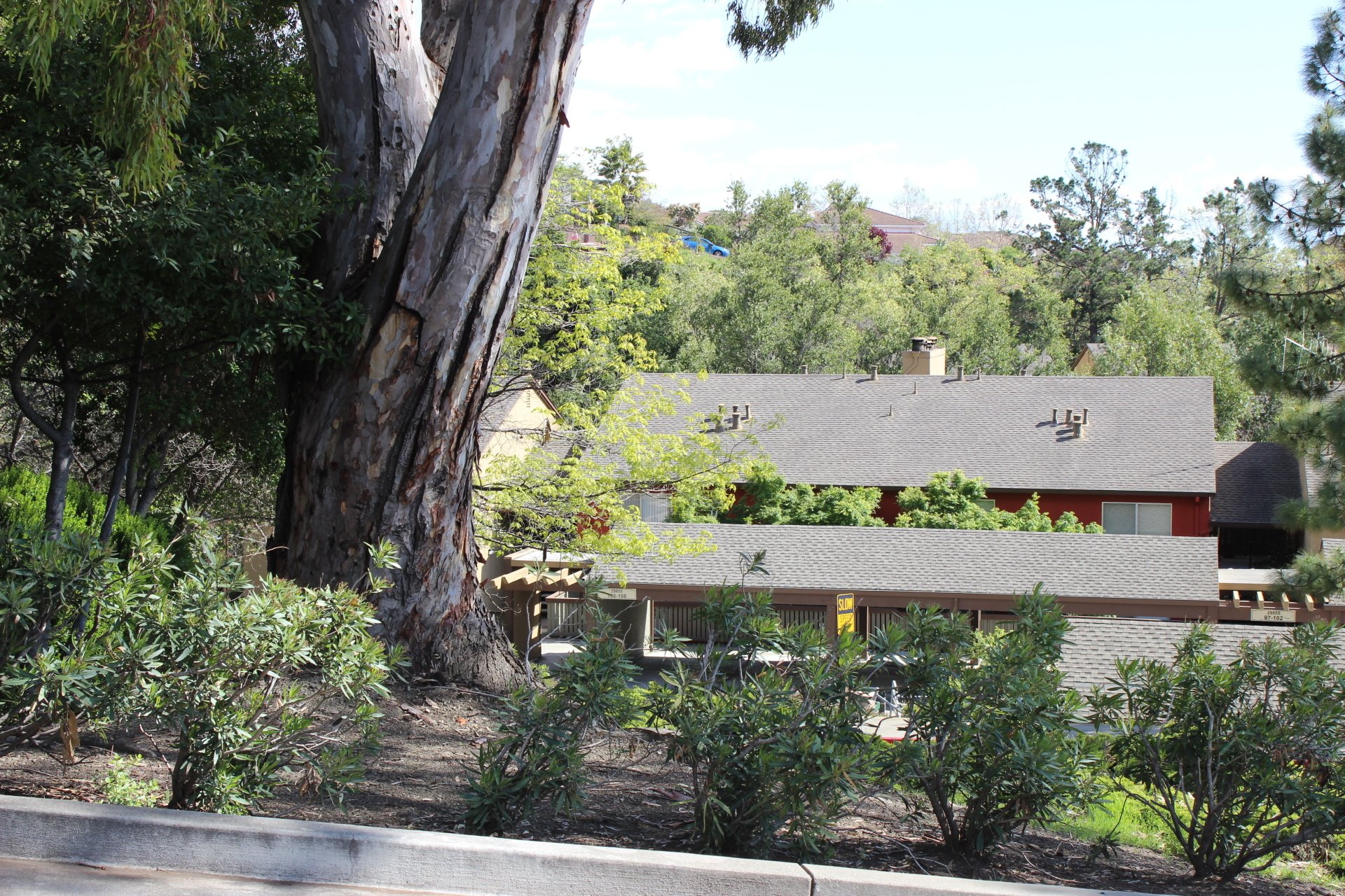 Oak Hills Apartment's Photo Gallery