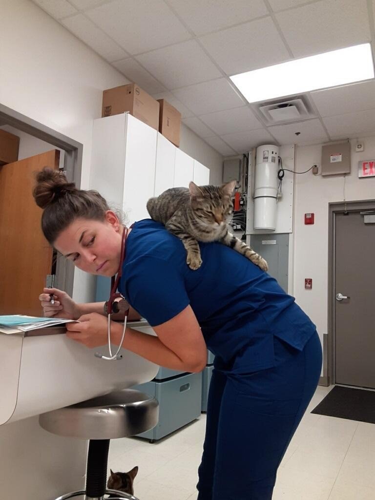 About Our Veterinarians Omaha, NE Millard Veterinary Clinic