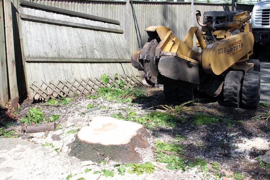Gallery Photos Branching Out Tree Service Before/After Equipment