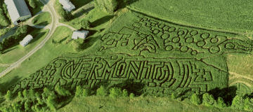 The VERMONT Maze design at the Great Vermont Corn Maze