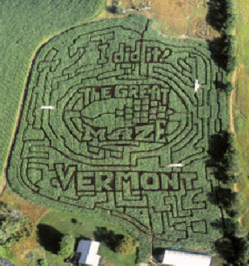 I did it maze at the Great Vermont Corn Maze
