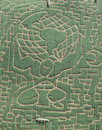 The Atlas Maze design at the Great Vermont Corn Maze