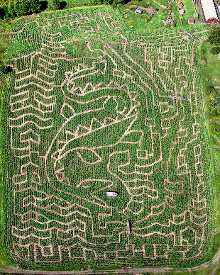 Champ Maze design at the Great Vermont Corn Maze