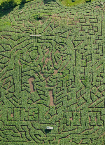 The Hiker maze design at the Great Vermont Corn Maze