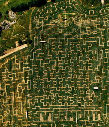 A living Puzzle maze at the Great Vermont Corn Maze