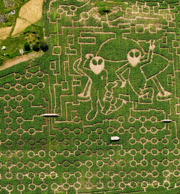 Alien Maze at the Great Vermont Corn Maze