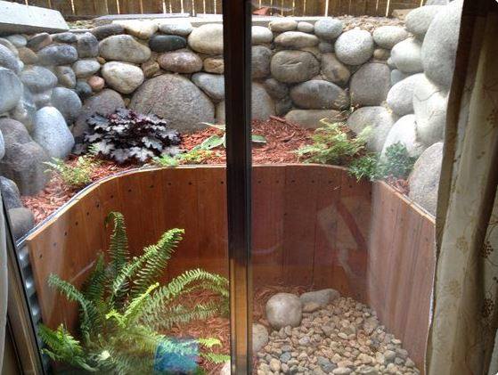 10 Window Well Decor Ideas