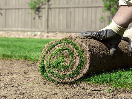 Grass being rolled onto the lawn