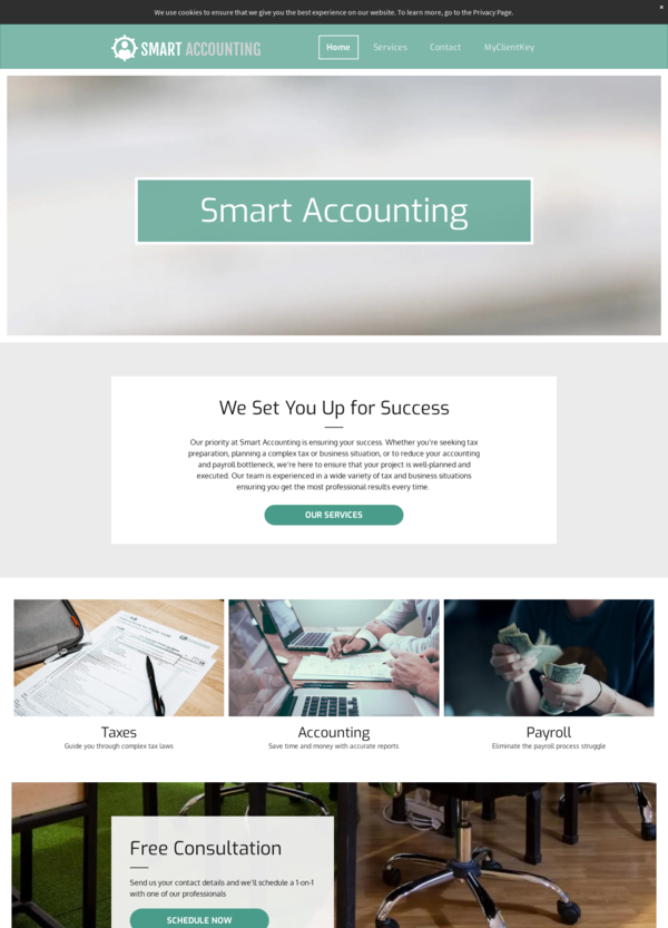 My Client Key Smart Professional - Mint Template