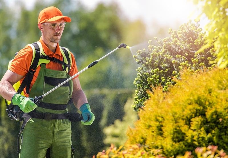 Pest Control Coastal Exterminating, Inc. Wilmington, North Carolina